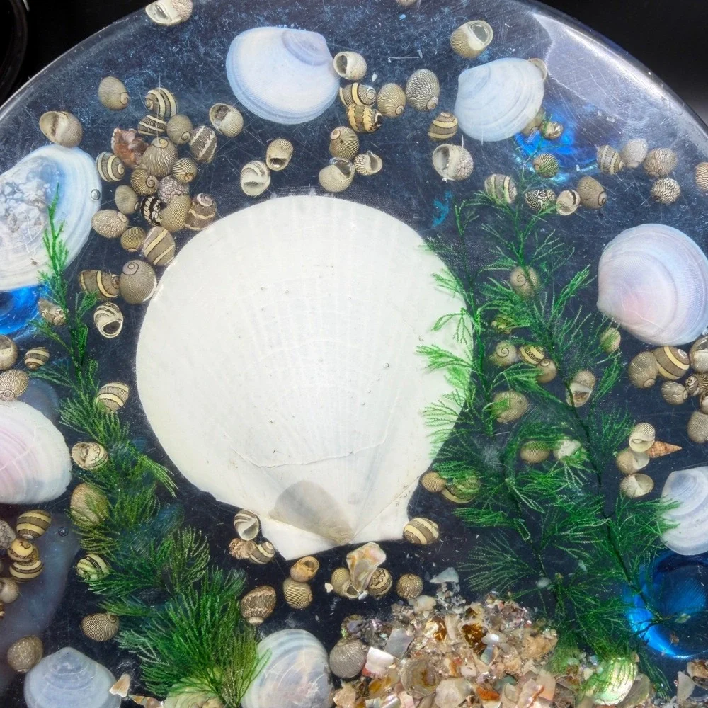 Vintage Lucite Seashell Trivet 6 Inch Round Clear Resin Coastal Decor Blue White